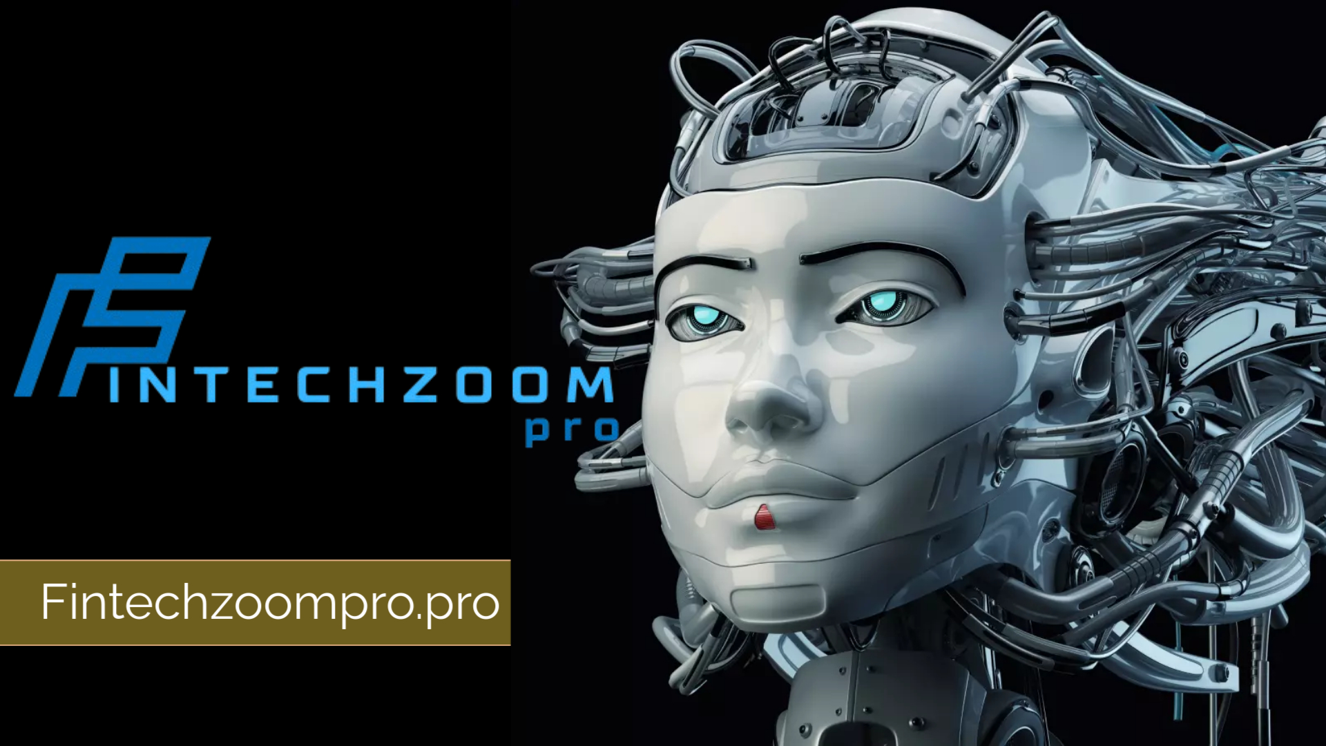 Fintechzoom pro